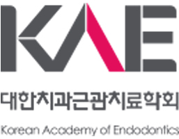 대한치근관치료학회