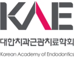 대한치근관치료학회